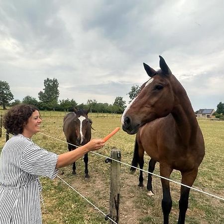 Willa Bed & Bets! Geetbets Zewnętrze zdjęcie